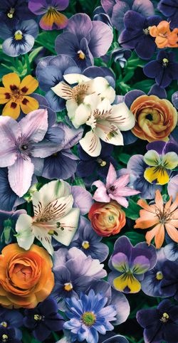 Коллекция Flower Dreams