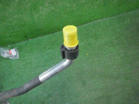 DSCN4448.JPG