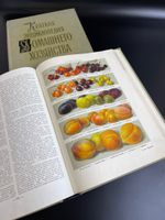 2 тома книги "Краткая энциклопедия домашнего хозяйства" 1960 год СССР . Бондаренко Власов Лифшиц