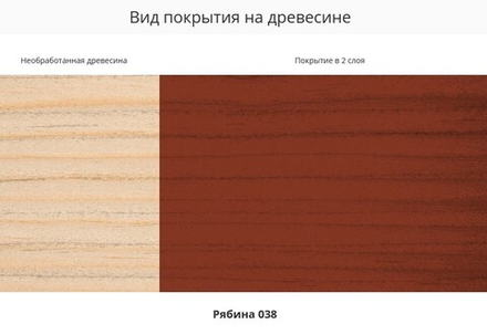 Пропитка Pinotex Focus Aqua Рябина 5л