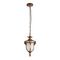 Уличный подвесной светильник Loft IT Alessano 100017P
