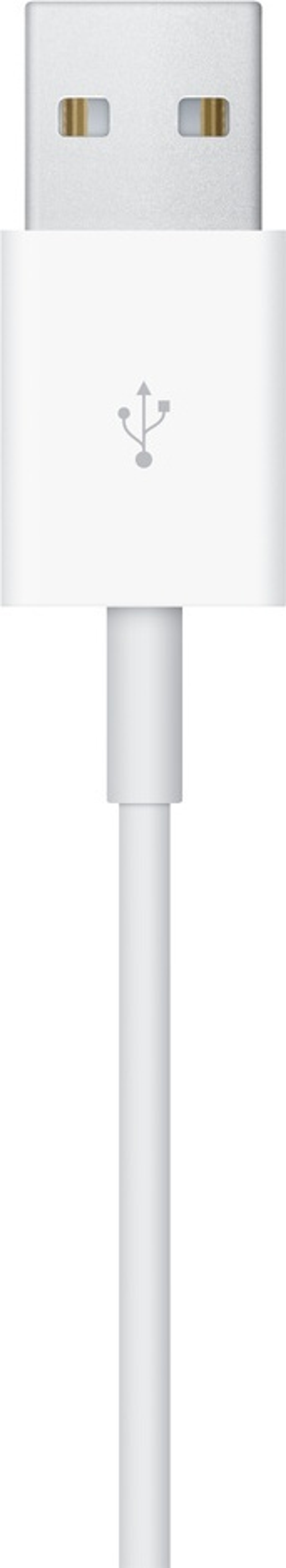 Зарядное устройство Apple Watch Magnetic Charging Cable 1 м