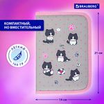 Пенал BRAUBERG, 1 отделение, полиэстер, 21х14 см, "Cat patches", 272327