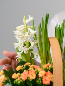 Весеннее настроение