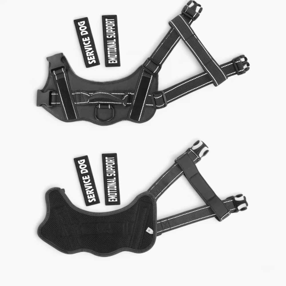 Шлейка «Service dog 2»