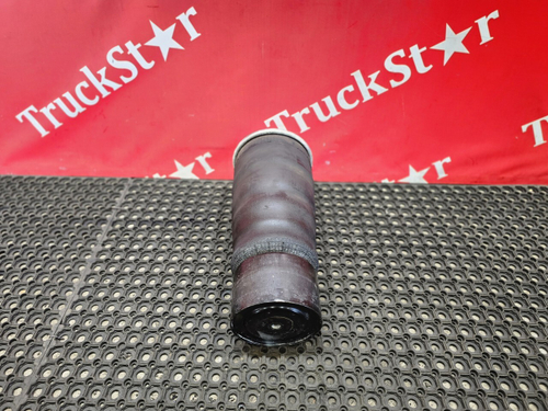 Подушка пневмоподвески задняя 2023г.