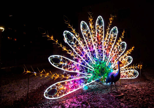Световая фигура «Павлин»