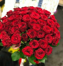 51 бордовая роза