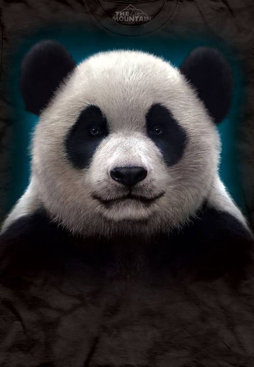 Panda Head