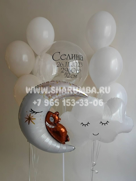 Мишка на луне