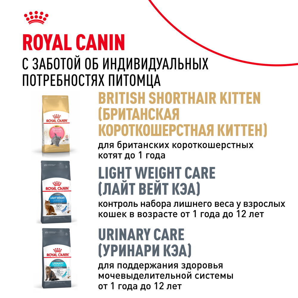 Сухой корм Royal Canin British Shorthair Adult для взрослых британских короткошерстных кошек 10кг