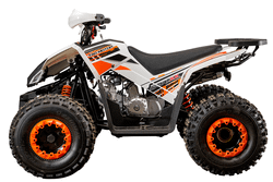 Yacota 125 Sporty XX 8" 2WD спортивный подростковый квадроцикл 125 куб/см