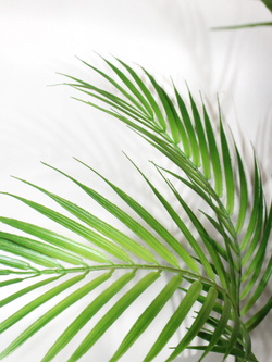 Искусственная пальма кустовая 85см для кашпо и декора интерьера, 7 листьев