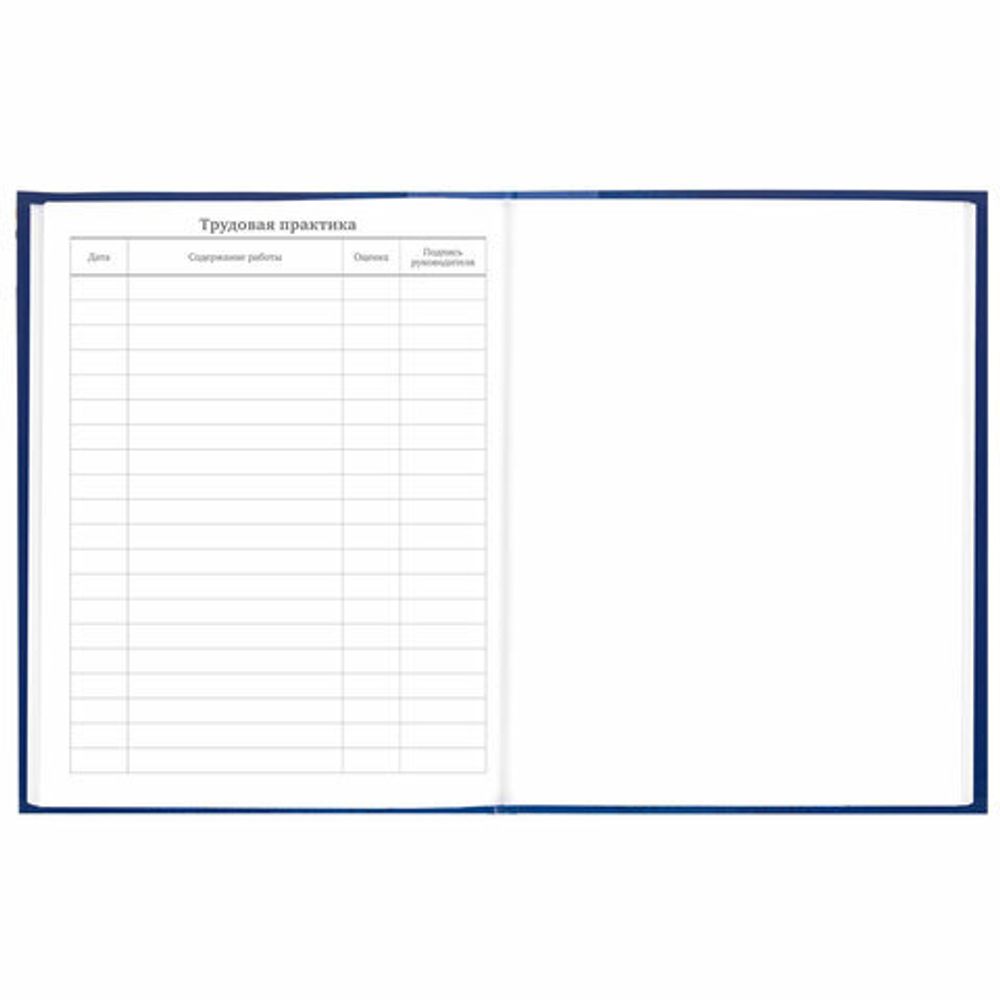 Дневник 5-11 класс 48 л., твердый, BRAUBERG, глянцевая ламинация, с подсказом, "Символика", 106878