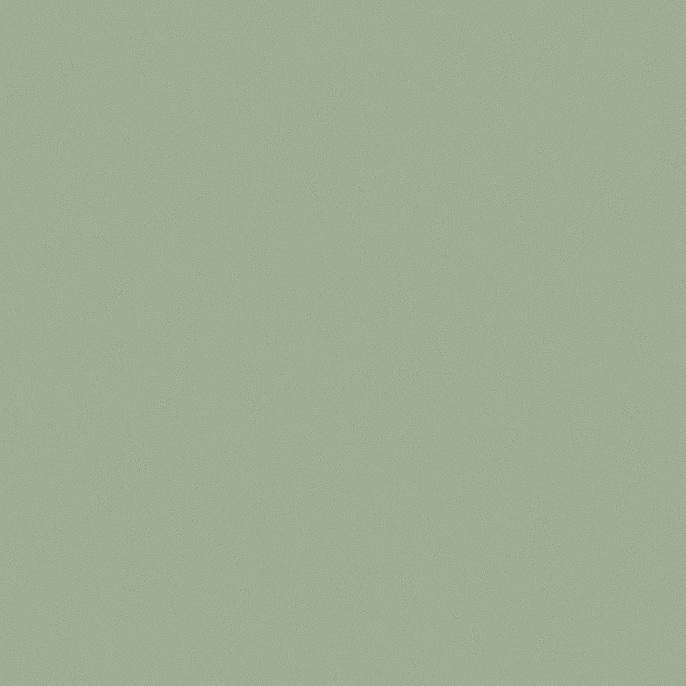 60009-14 Обои Erismann (Bolero) 10,05x1,06 винил на флизелине