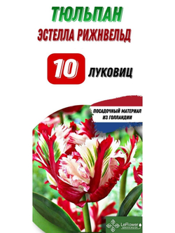 Тюльпан Луковица, Эстелла Рижвельд, 10шт