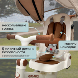Велосипед-трансформер 9в1 BubaGO Malanka
