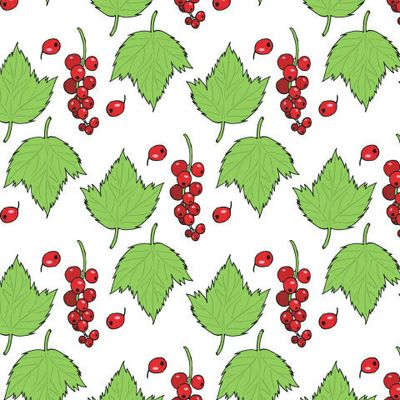 красная смородина на белом фоне