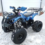 Квадроцикл MOTOLAND 125 FOX A