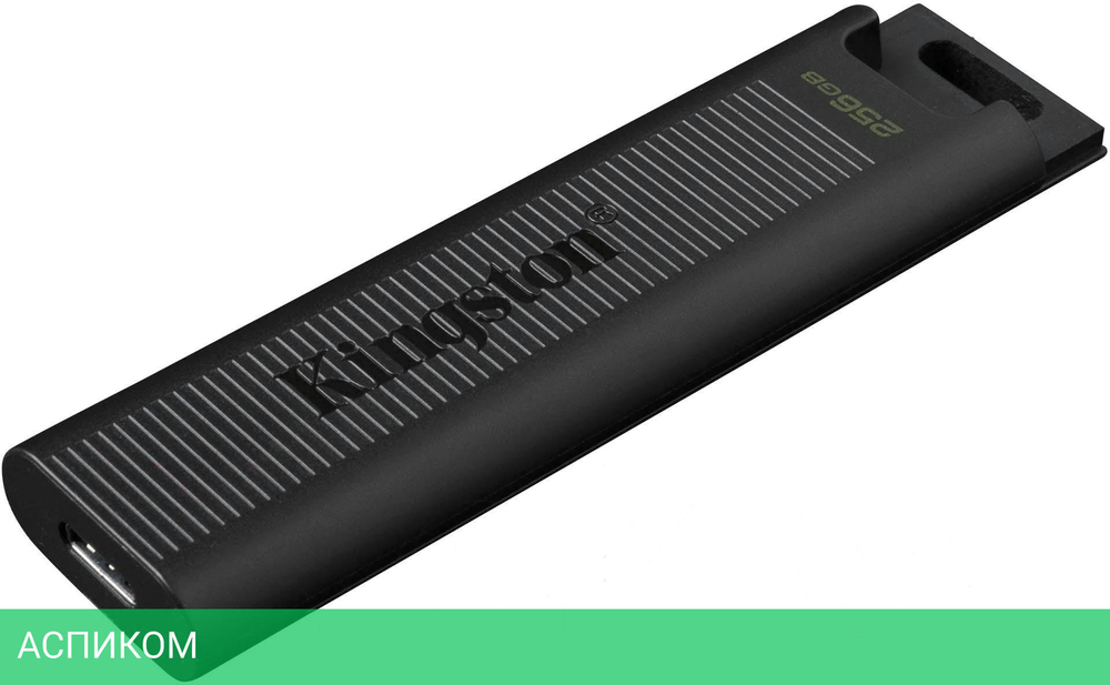 USB Flash-накопитель Kingston DTMAX/256GB