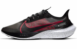 Кроссовки Nike Zoom Gravity