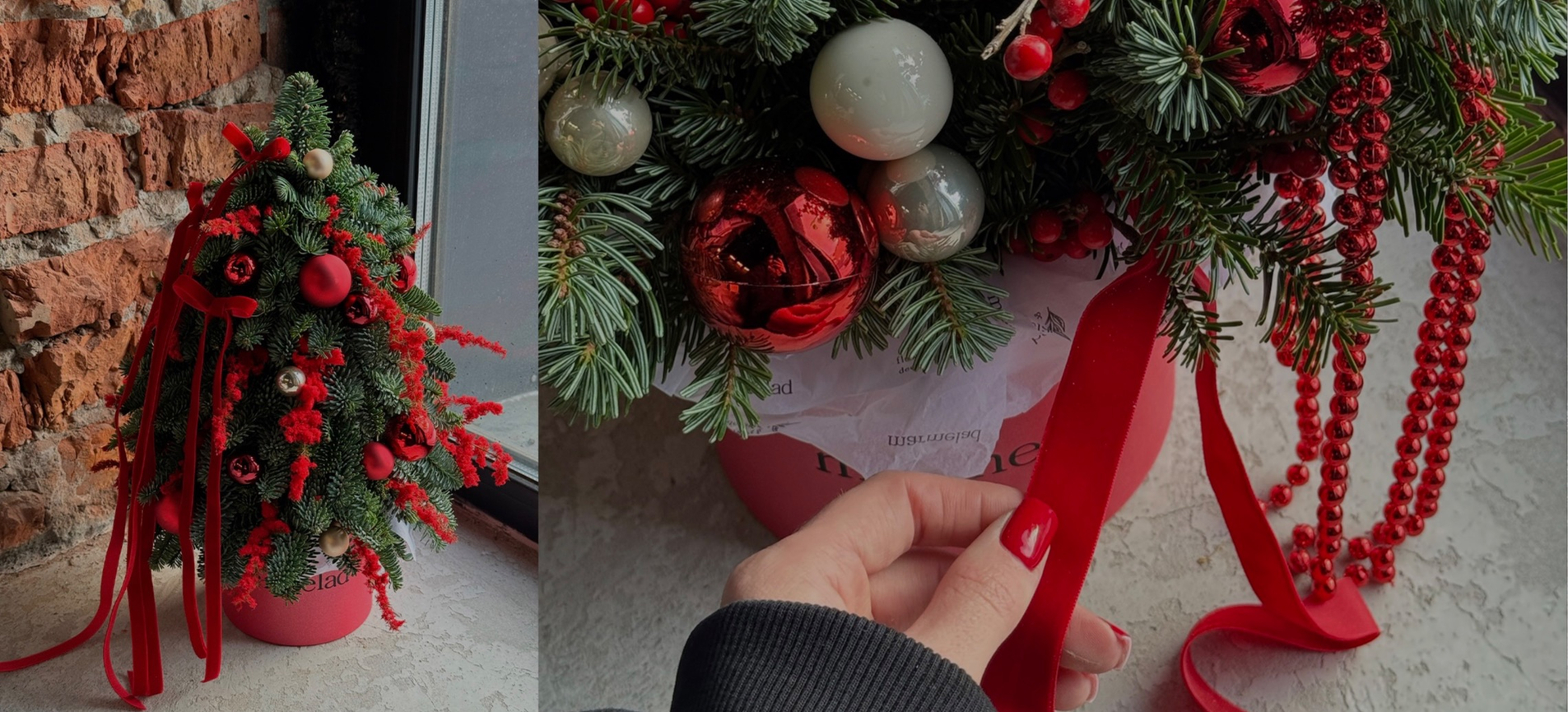 Хвойная коллекция