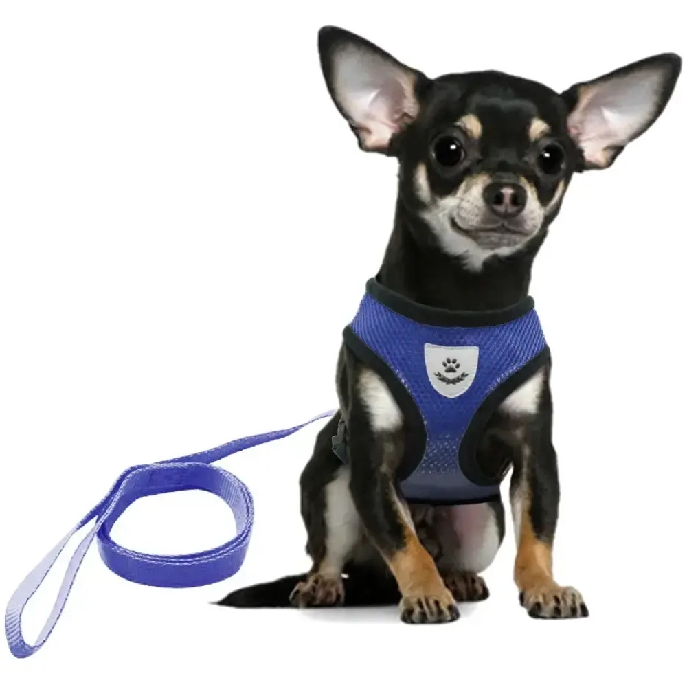 Шлейка с поводком 118см «Sweet puppy» размер S, цвет голубой