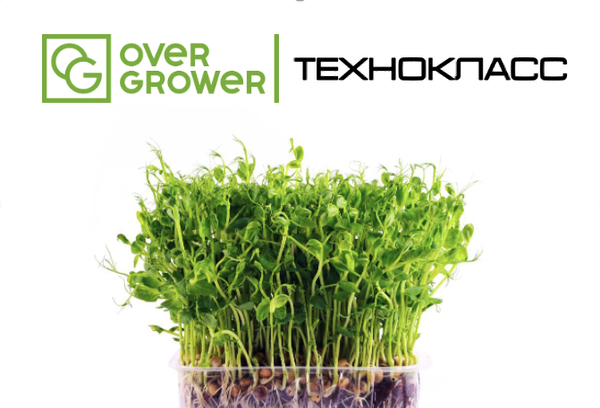 «Технокласс» и «OverGrower»: инновационные решения для агрообразования и STEM-проектов