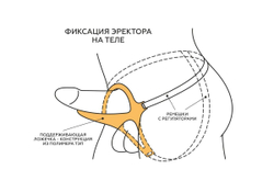 Телесный эректор-ложечка с фиксацией на ремешках MEN STYLE