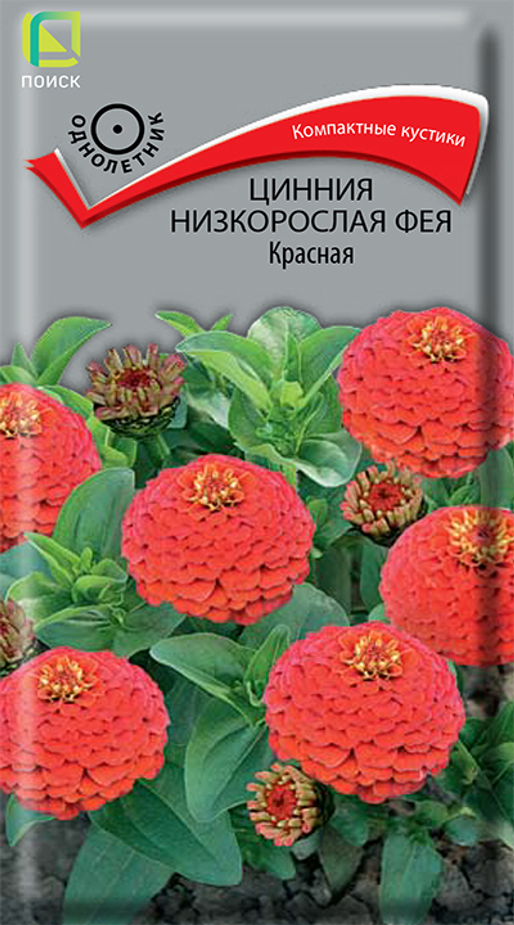 Цинния низкорослая Фея Красная