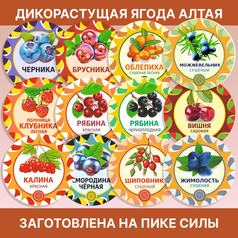 Рябина красная. Алтайская "Осенняя" ягода сушеная