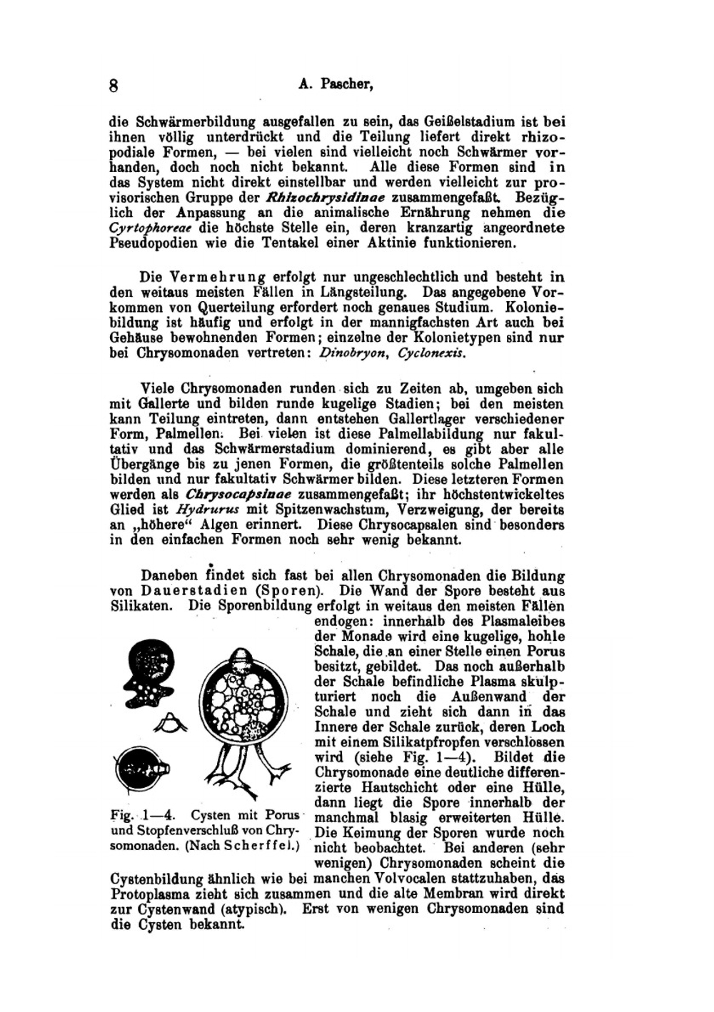 Die Süsswasser-Flora Deutschlands, Österreichs und der Schweiz | Adolf Pascher