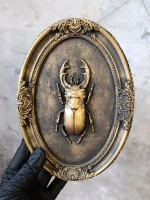 Барельеф на стену из гипса Жук олень