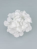 Гортензия Аннабель (голова)