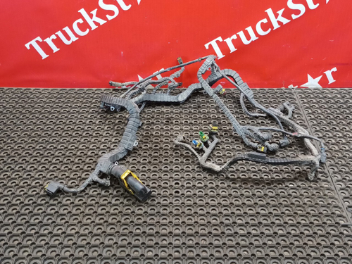 Проводка двигателя 2019г.