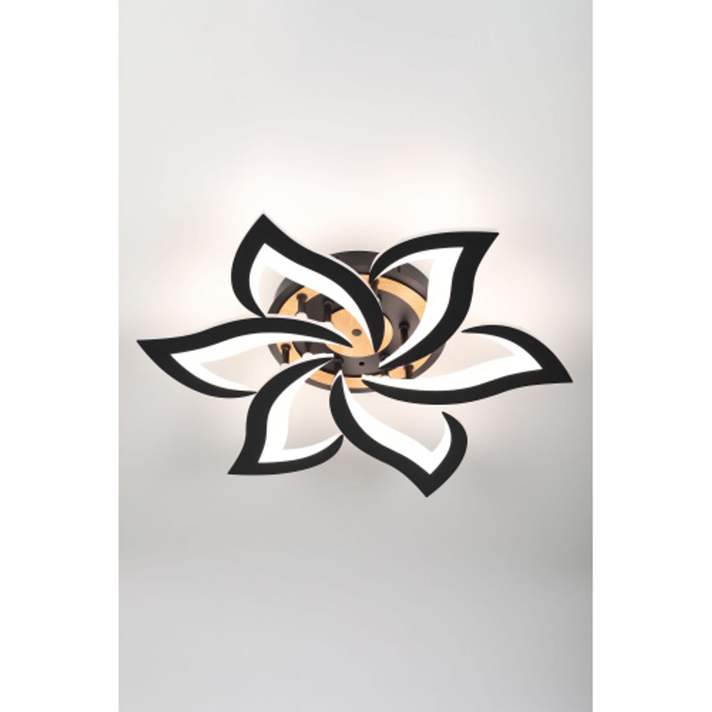 Светильник потолочный светодиодный Rivoli Cassandra 6194-733 LED 3000-6250К 84 Вт с пультом | Rivoli