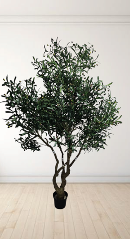 Дерево оливы разборное