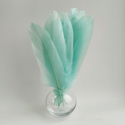 Гусиные перья мятно-голубые ровные 20шт.