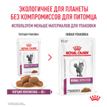 Royal Canin Renal with Fish Ренал с рыбой Корм влажный диета для кошек поддержание функции почек соус 85г