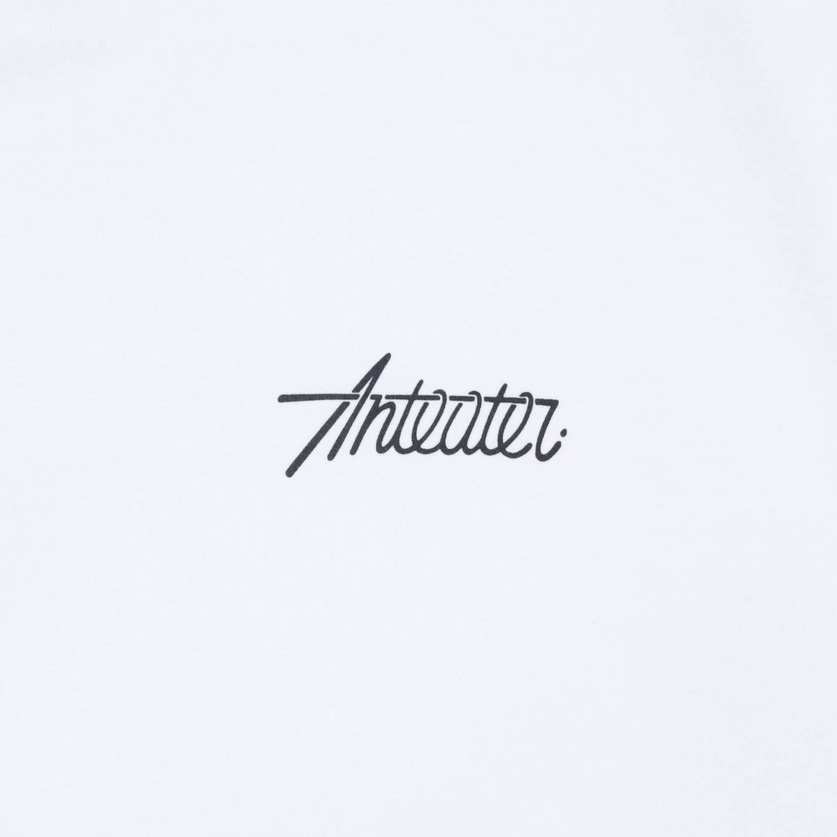 Футболка Anteater Phat 487 (white) артикул: - купить в магазине Дайс