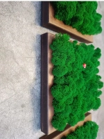 Квадратное панно на стену 20*20 из мха набор 1 шт.