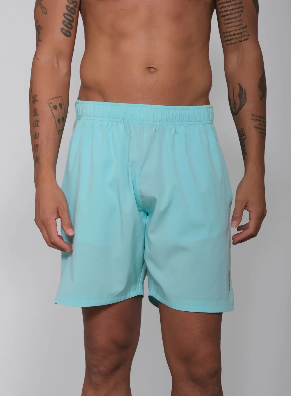 Теннисные шорты RS Performance Shorts Ace Blue/Clay (211M301313/441)