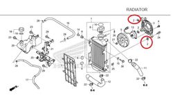 19014-KEA-003. NUT, SETTING (6MM)