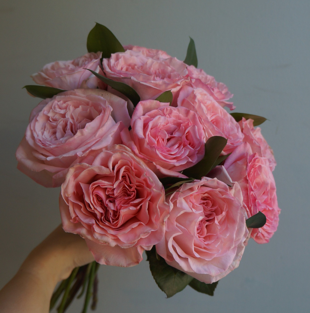 108. Очаровательная Pink O'Hara