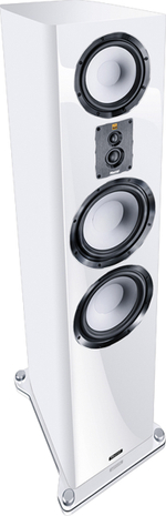 Magnat Signature 909