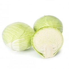 ЛАГРИМА F1 семена капусты белокочанной (Rijk Zwaan | Alexagro)