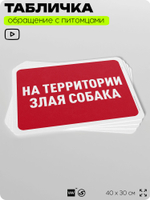 Табличка "На территории злая собака" на дверь и забор, для двора, дома, подъезда, 40х30 см, Silver Plane x Айдентика Технолоджи