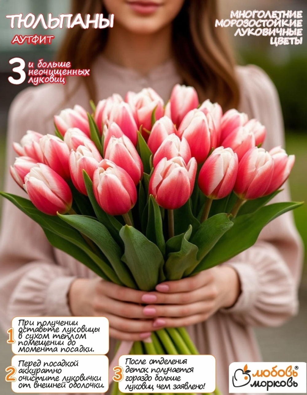 Тюльпан Луковица, Аутфит, 3+ шт
