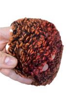 Пряжа от Gedifra букле (Германия) CARME LIGHT 33% шерсть 65% полиакрил 2% п/э 1 моток (50г- 50м)