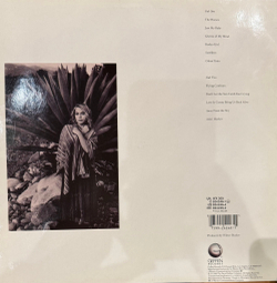 Виниловая пластинка Rickie Lee Jones ‎– Flying Cowboys LP